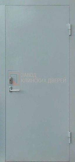 Техническая дверь c порошковым напылением ДТХ-35 c порошковым напылением ДТХ-35