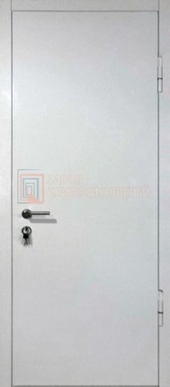 Техническая дверь c порошковым напылением ДТХ-37 c порошковым напылением ДТХ-37