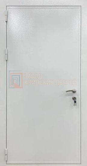 Техническая дверь c порошковым напылением ДТХ-48 c порошковым напылением ДТХ-48