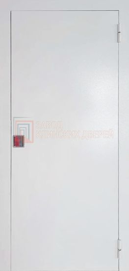 Техническая дверь c порошковым напылением ДТХ-49 c порошковым напылением ДТХ-49